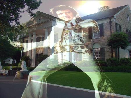 Graceland 