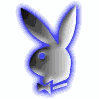 Playboy 