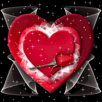 Une rose sur un cur 