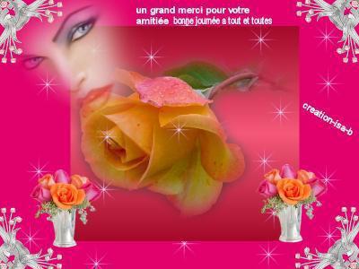 La rose 