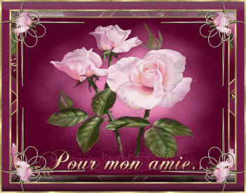 la rose 